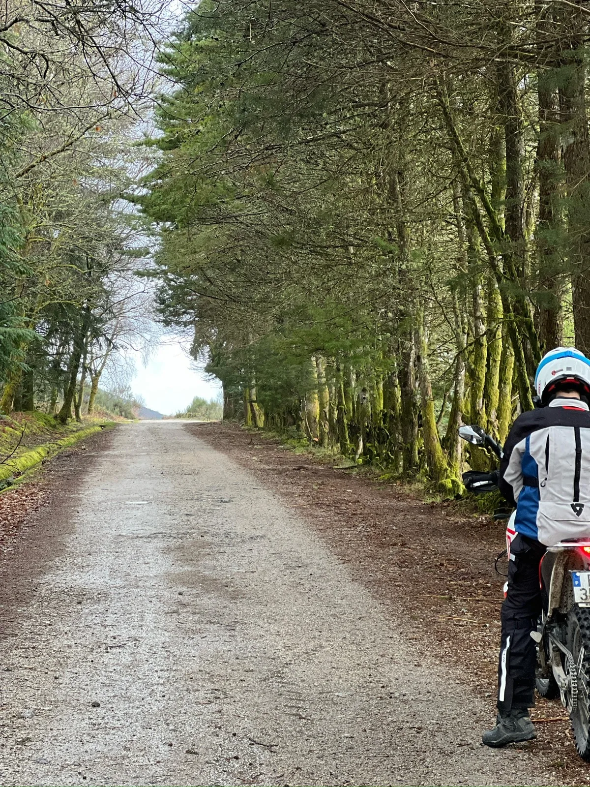 Adventure motorcycle stopped on a quiet gravel road through a forest