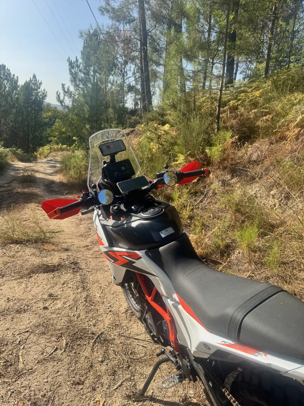 An adventure motorcycle parked on a forest dirt trail with a smartphone mounted on the handlebars for navigation.